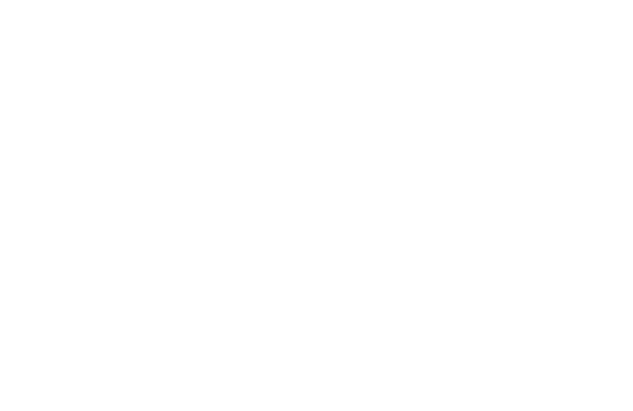 POBEDA Business Club